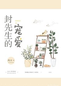 封先生的宠爱